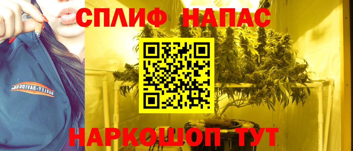 МАРИХУАНА планчик Ростов Великий